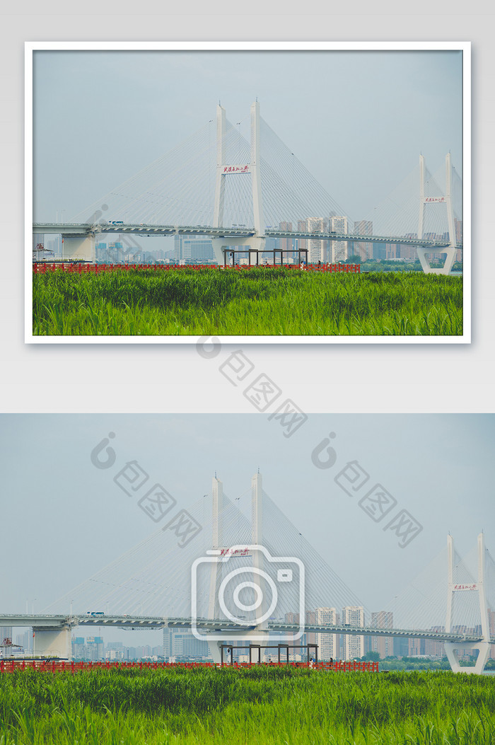 武汉夏季长江二桥江滩芦苇滩高清摄影图