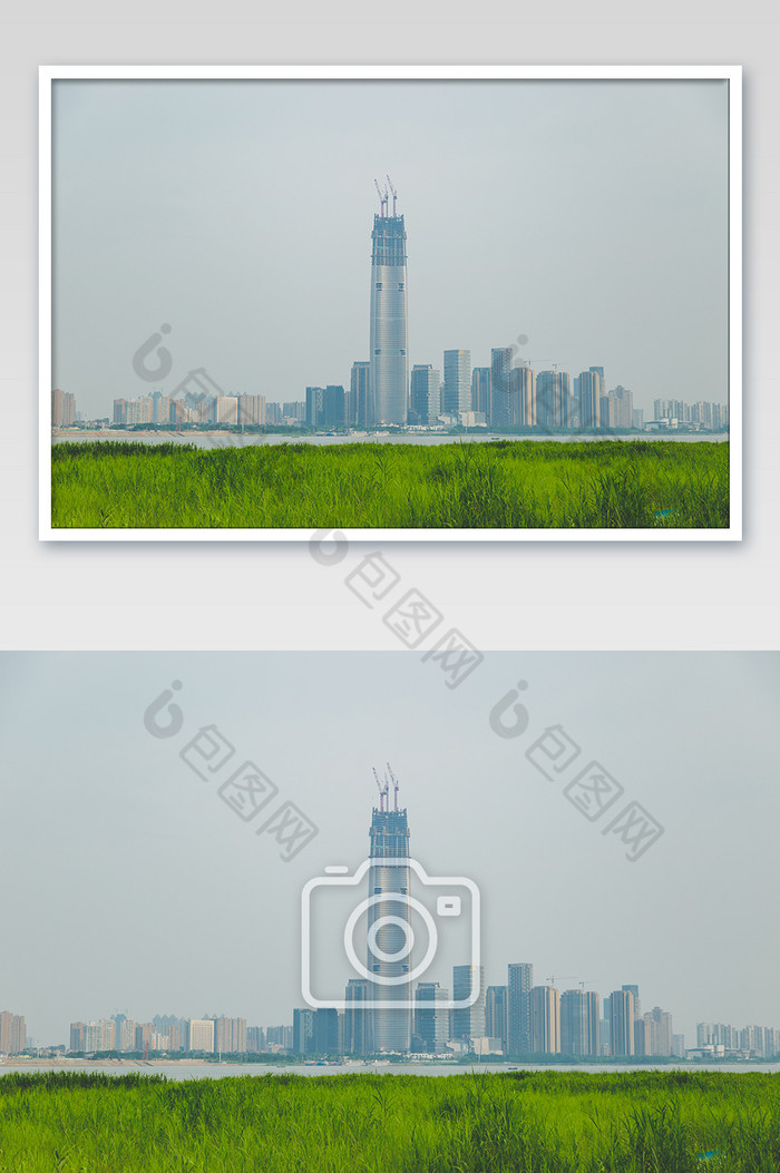 武汉夏季江滩芦苇滩江对面高楼大厦摄影图图片图片