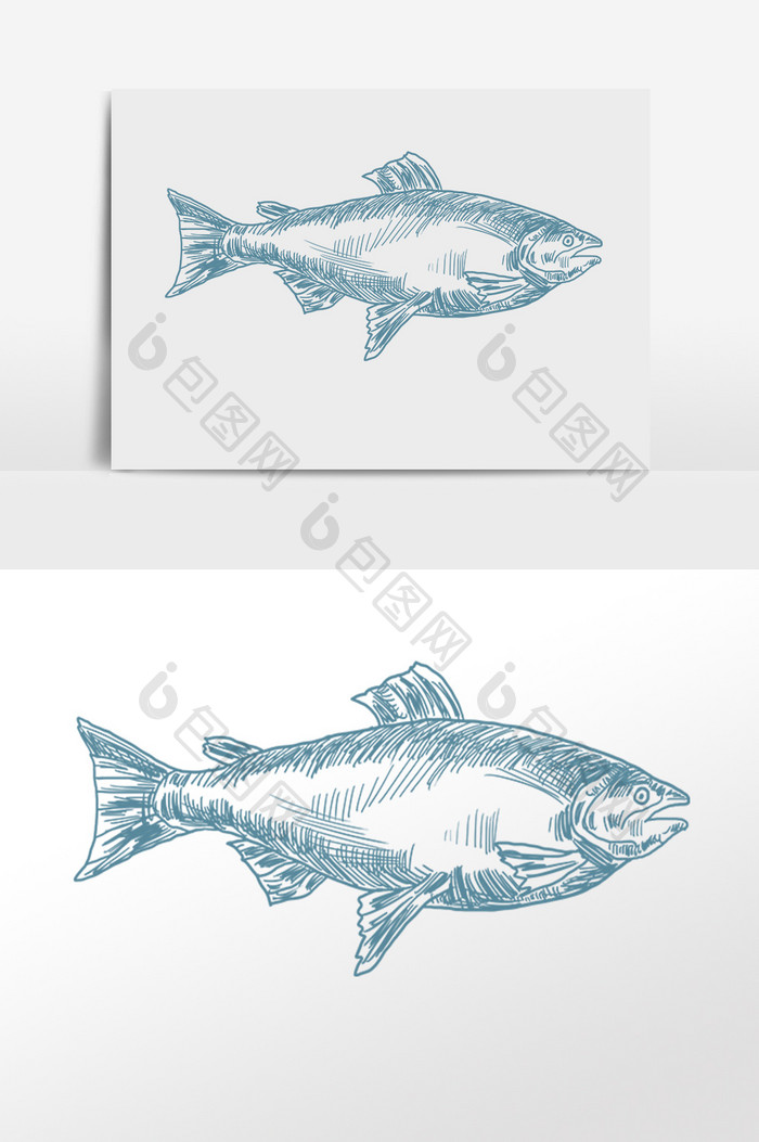 手绘线描素描水产海鲜海鱼插画