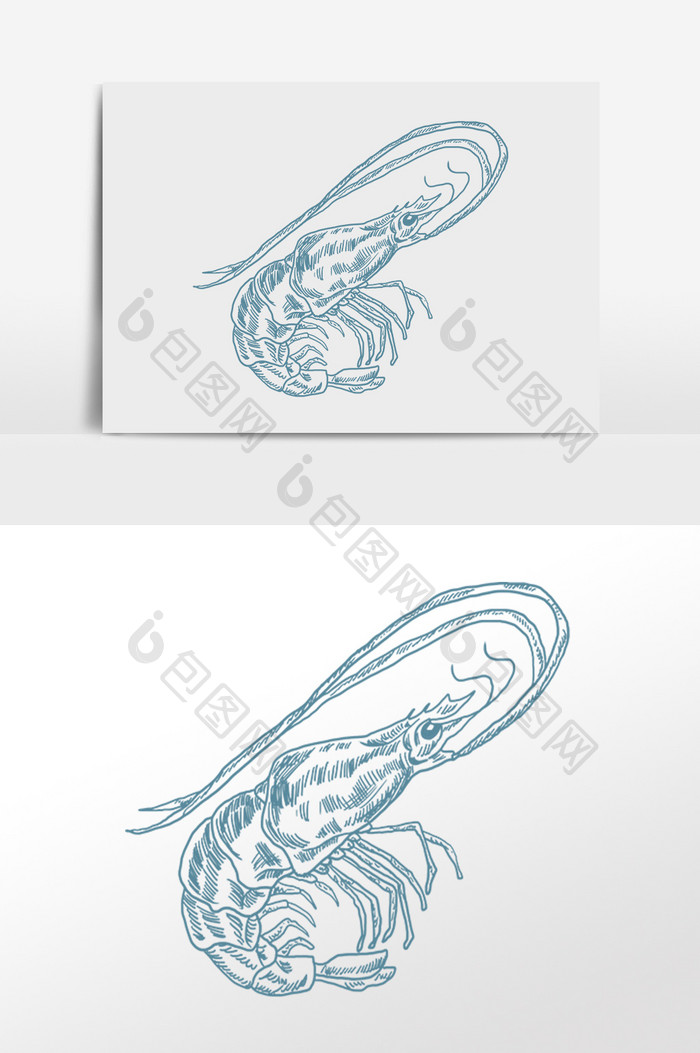 手绘线描素描水产海鲜龙虾插画