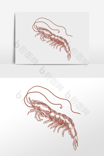 手绘线描素描水产虾海鲜插画图片