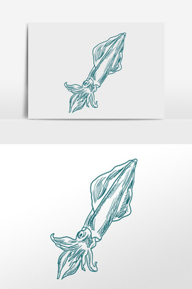 线描素描水产鱿鱼海鲜插画