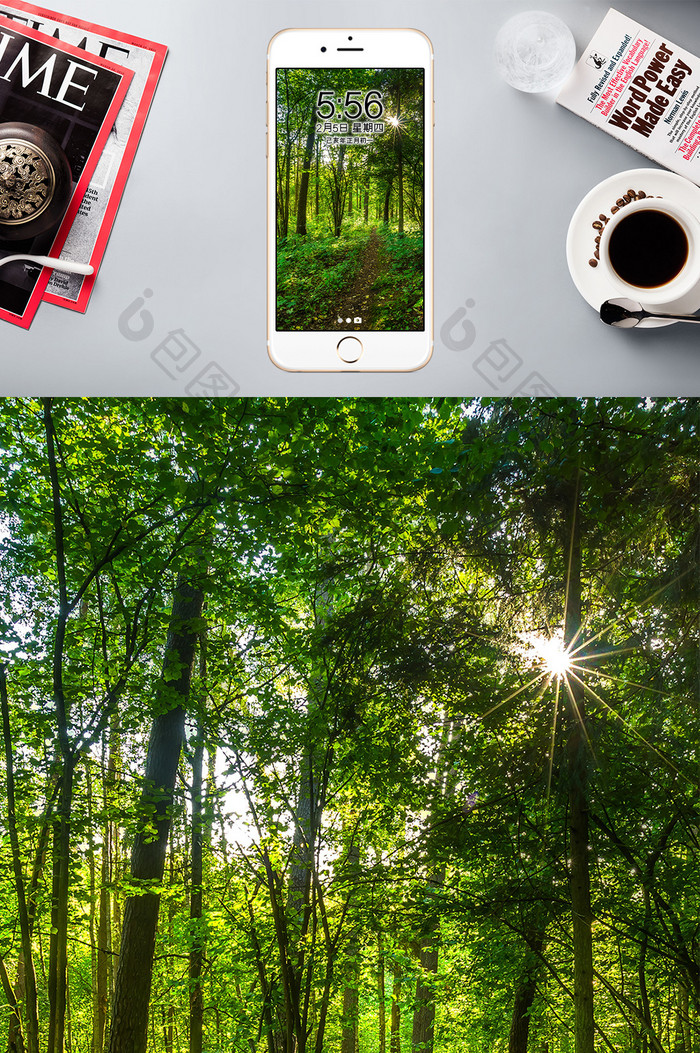 茂密的树林深处摄影图手机壁纸