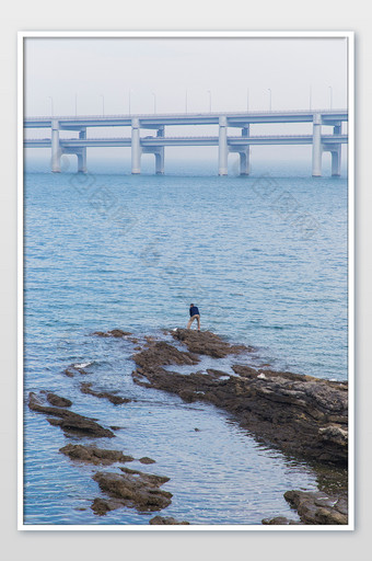 大连星海跨海大桥景区的摄影图片