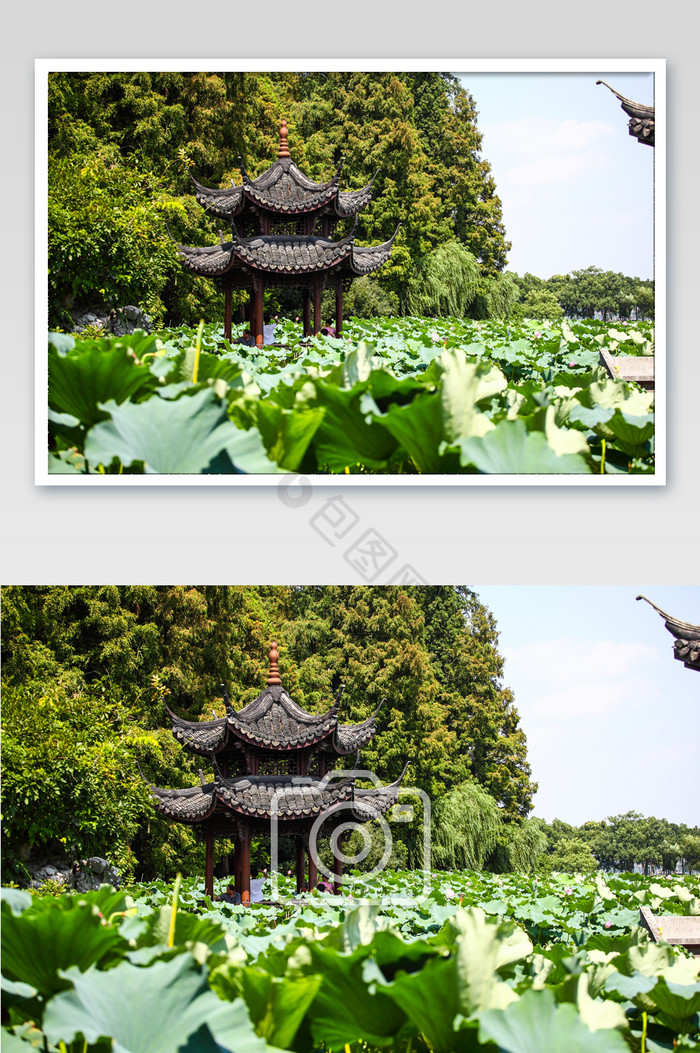 西湖景色凉亭旅行荷叶夏日夏季旅游摄影图图片