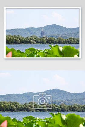 西湖景色雷峰塔旅行荷叶夏日夏季摄影图