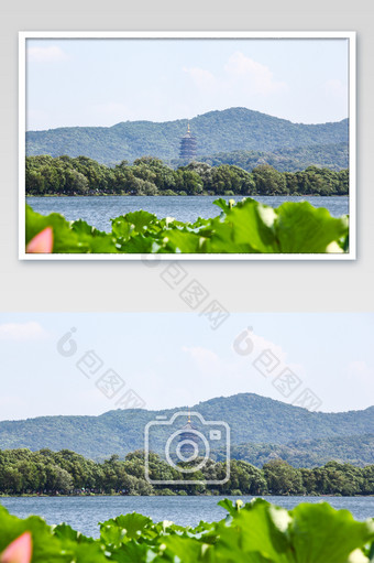 西湖景色雷峰塔旅行荷叶夏日夏季摄影图图片