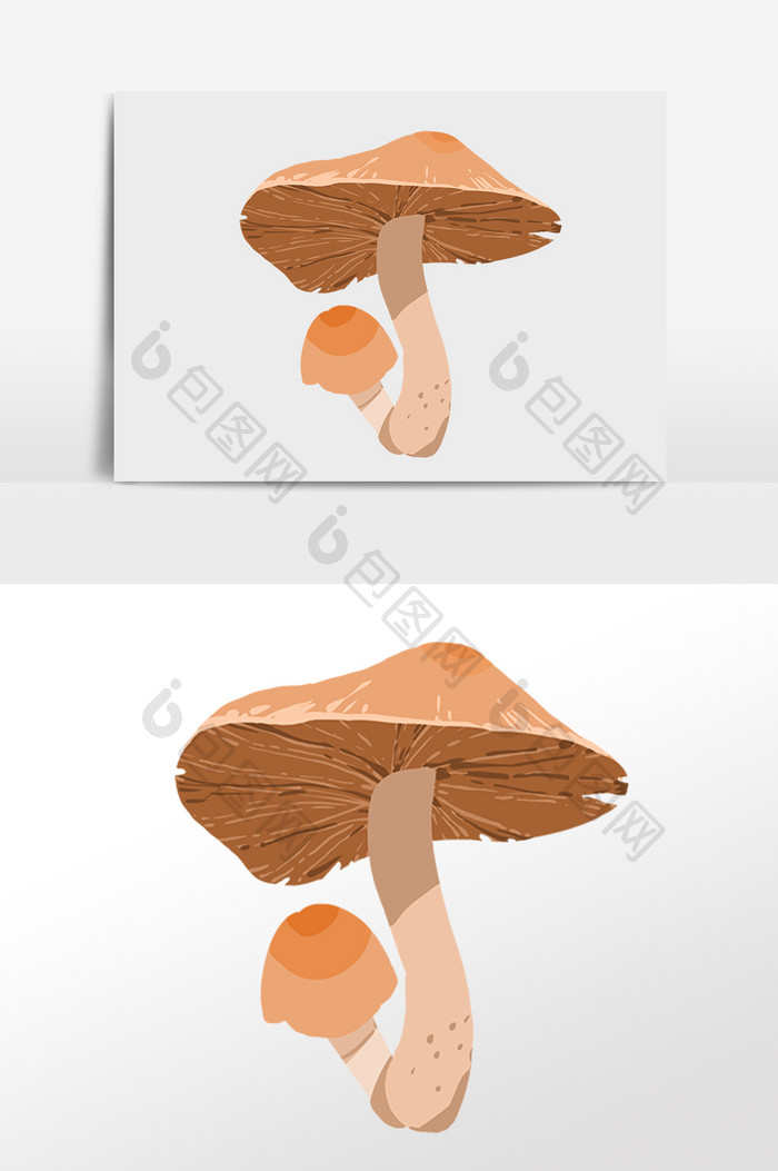 手绘餐饮美食食材蘑菇插画