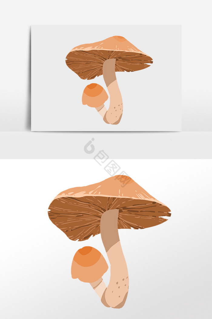 餐饮食材蘑菇插画图片