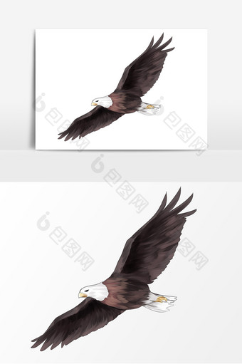 飞翔的老鹰元素形象图片