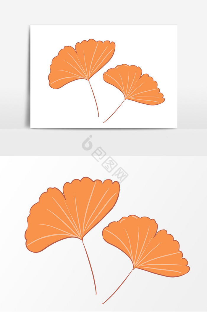 植物银杏叶子图片