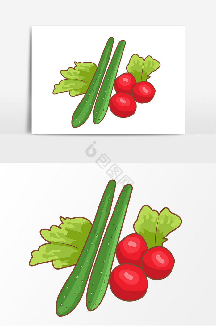 黄瓜蔬菜形象图片