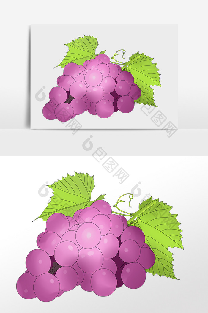 夏季新鲜水果紫色葡萄插画