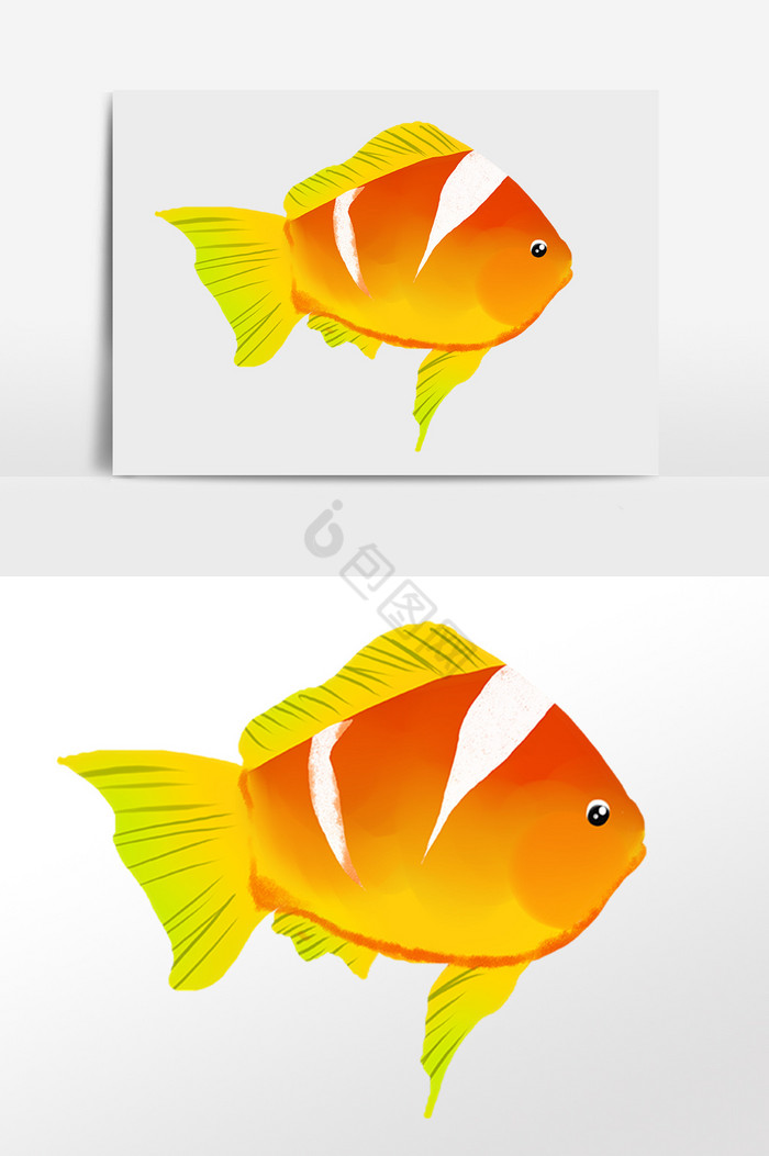 海洋水生物热带小鱼插画图片