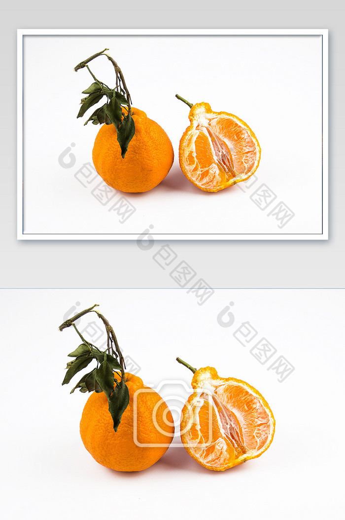 白底高清丑橘水果摄影图片