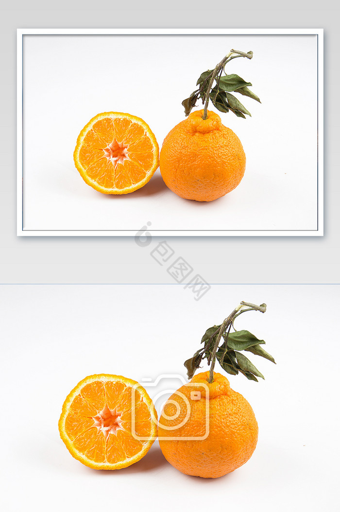 丑橘新鲜水果横切面摄影图图片