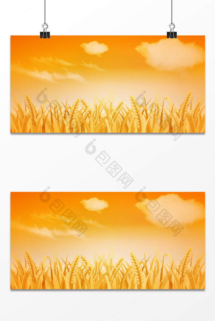 芒种小麦黄昏堆叠播种节气麦穗背景