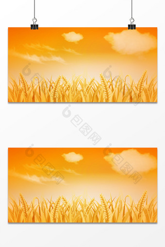 芒种小麦黄昏堆叠播种节气麦穗背景图片
