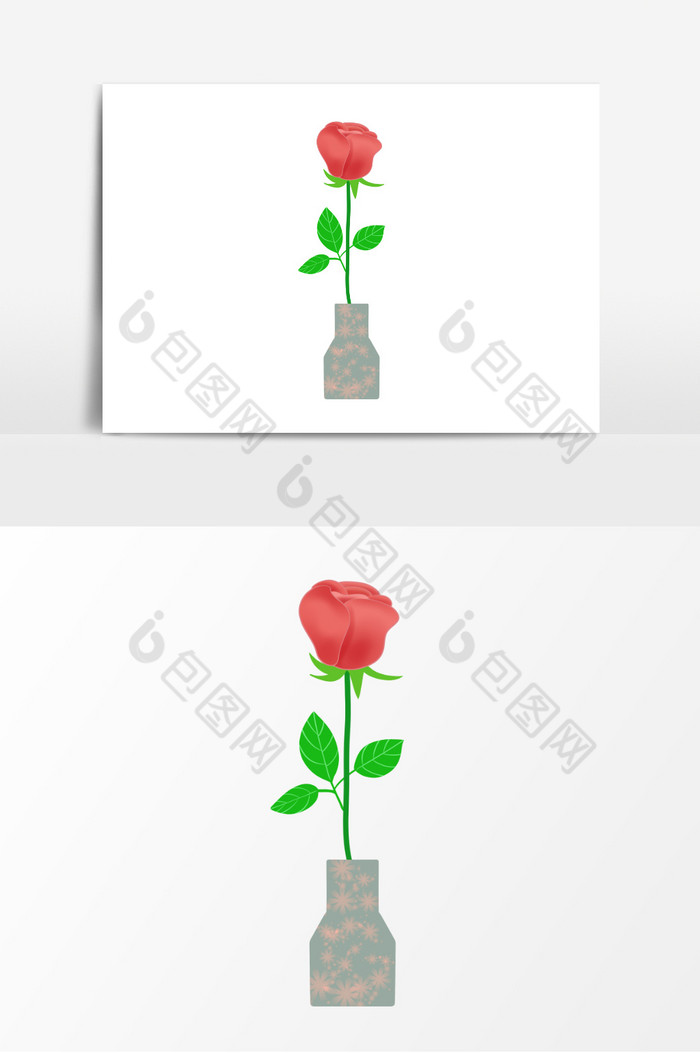 花植物插画花瓶图片图片