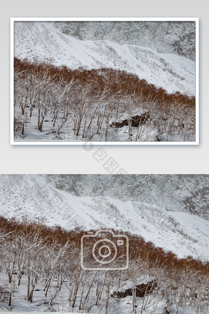 大雪长白山局部特写