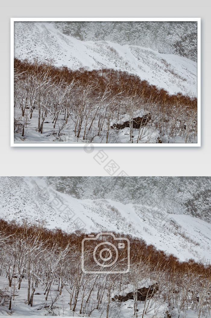 大雪长白山局部特写图片图片