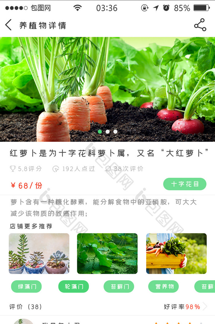 绿色扁平简约养植物app详情UI移动界面