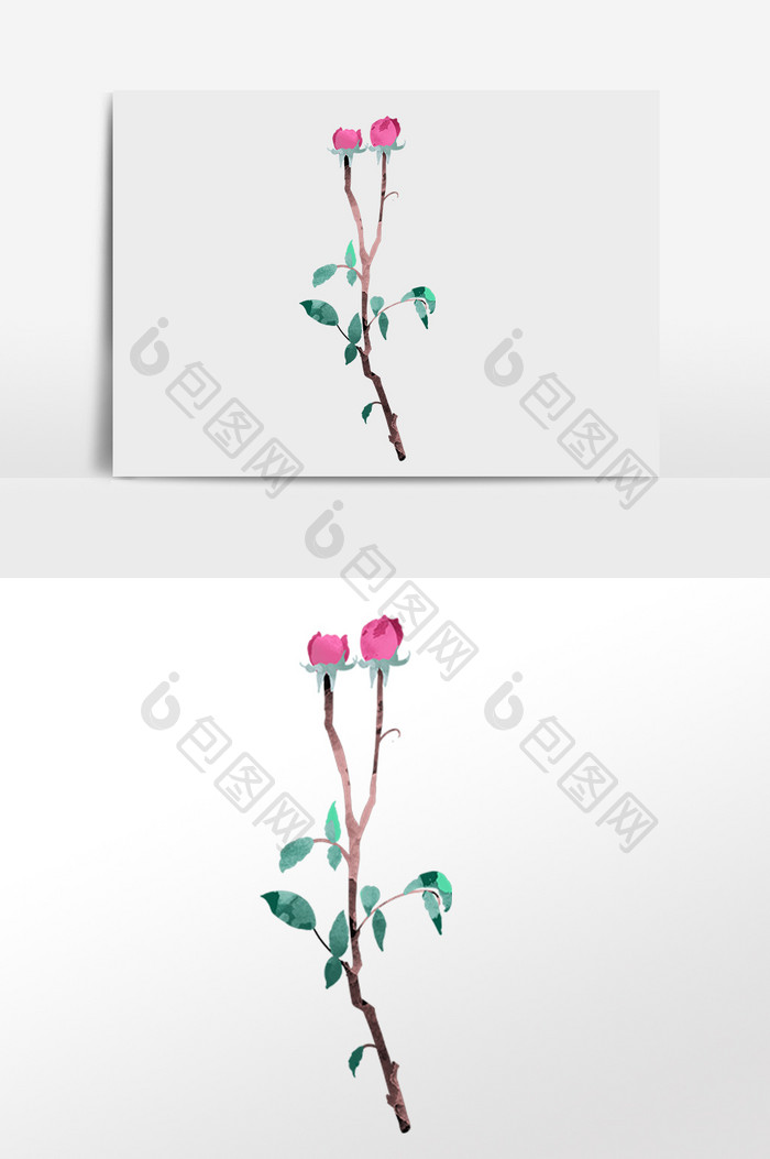 清新植物花朵花枝插画