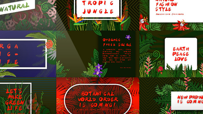 植物动画自然插图婚礼设计字幕图像包装