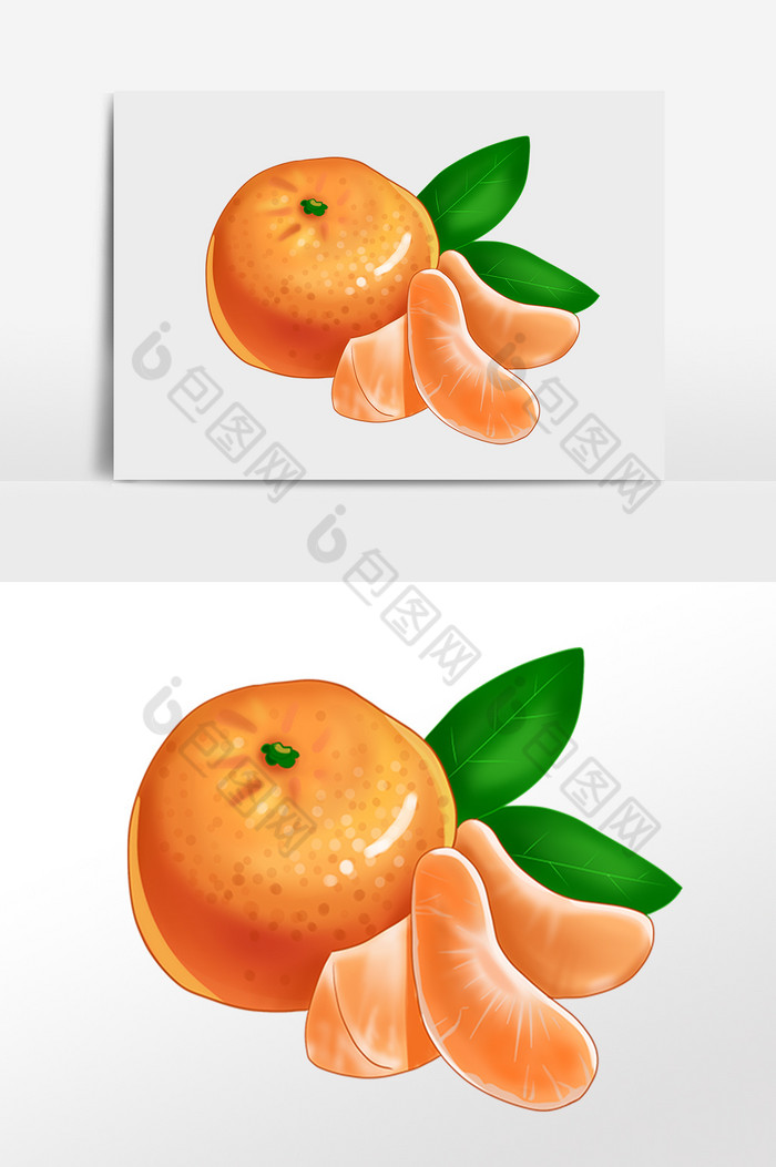 夏季新鲜美味水果橘子插画图片图片