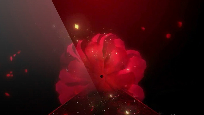 红色色调唯美花朵绽放大气背景led视频