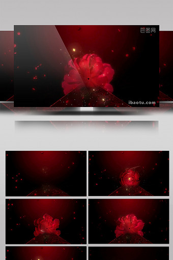 红色色调唯美花朵绽放大气背景led视频图片