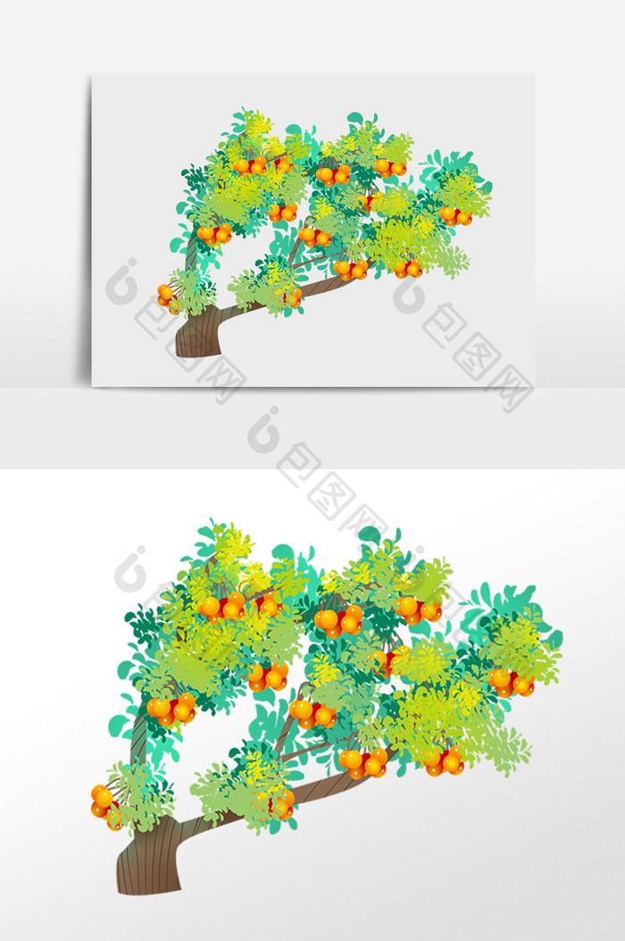 手绘植物小树成熟水果果树插画