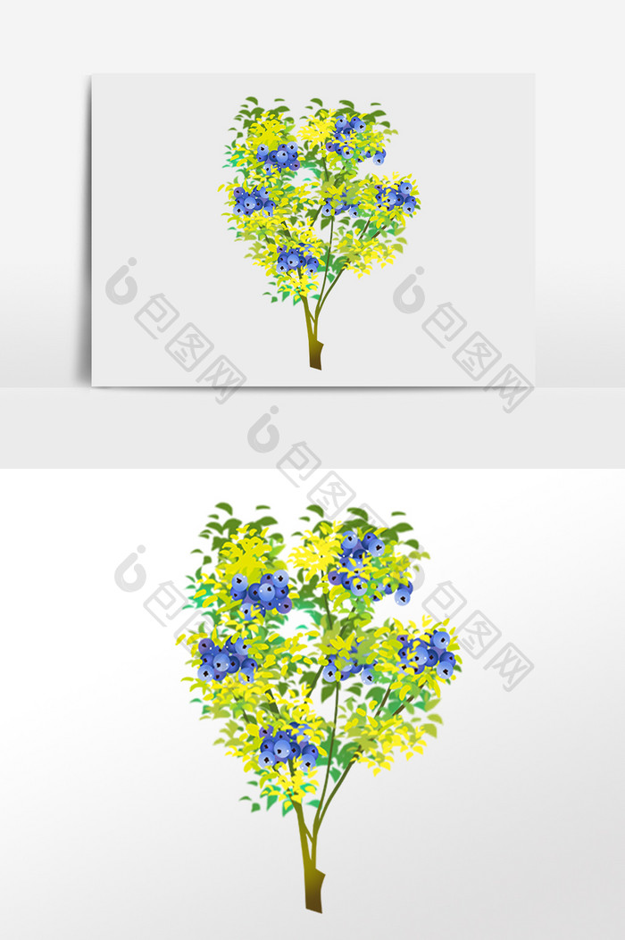 手绘植物成熟蓝莓果果树插画