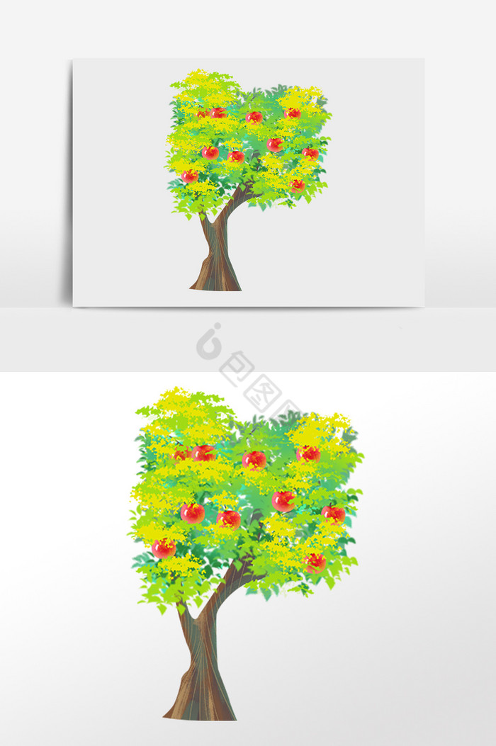 植物成熟水果果树小树插画图片