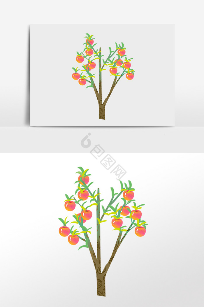植物成熟果树树木插画图片