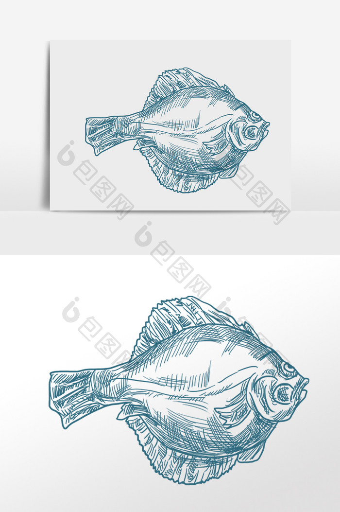 手绘线描海鲜水生物小鱼插画