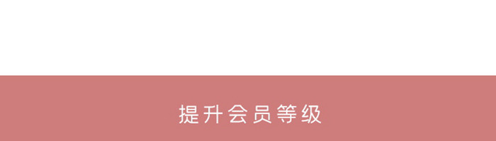 褐色简约风格质感会员卡样式会员特权页