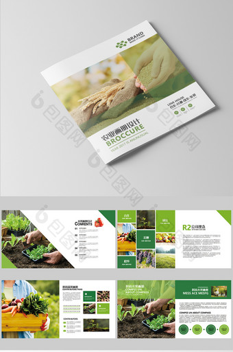 绿色简约时尚的果蔬画册设计图片