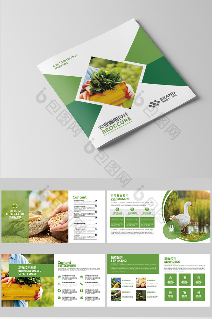 绿色时尚的果蔬画册模板设计