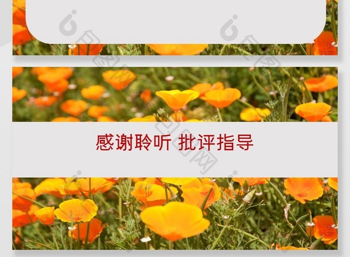 小黄花毕业答辩PPT背景模板