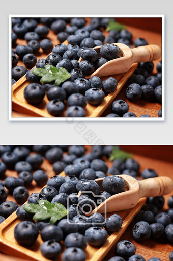 新鲜蓝莓产品海报图图片