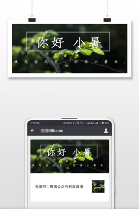 绿植小暑来了微信公众号封面配图