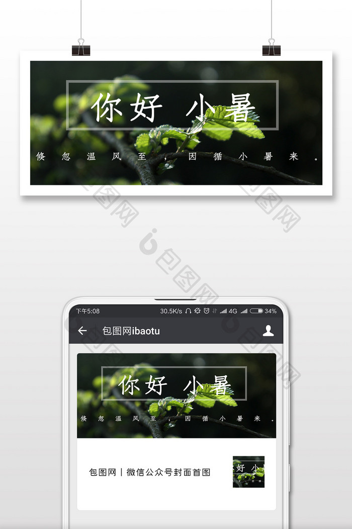 绿植小暑来了微信公众号封面配图