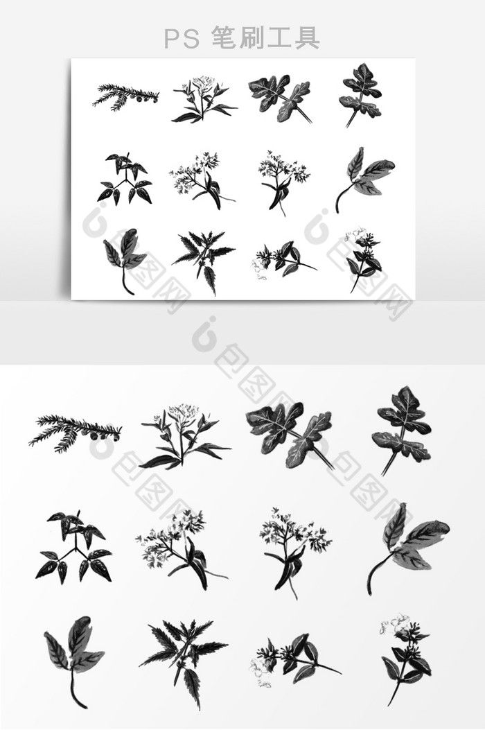 植物和花卉ps笔刷图片图片