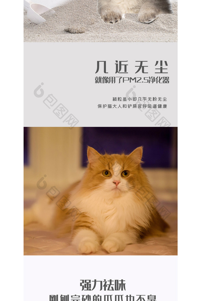 宠物用品宠物便便处理砂子猫砂详情页模板