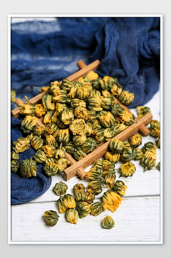 胎菊菊花实拍摄影图图片下载