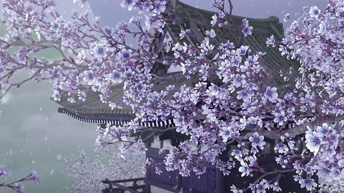 唯美 紫色梅花古代建筑视频素材