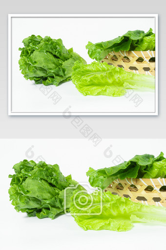 绿色生菜有机蔬菜有机食品摄影图图片