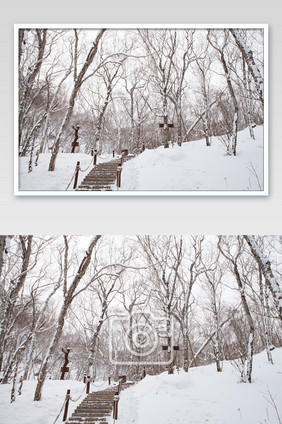 冬季原始森林暴雪图片