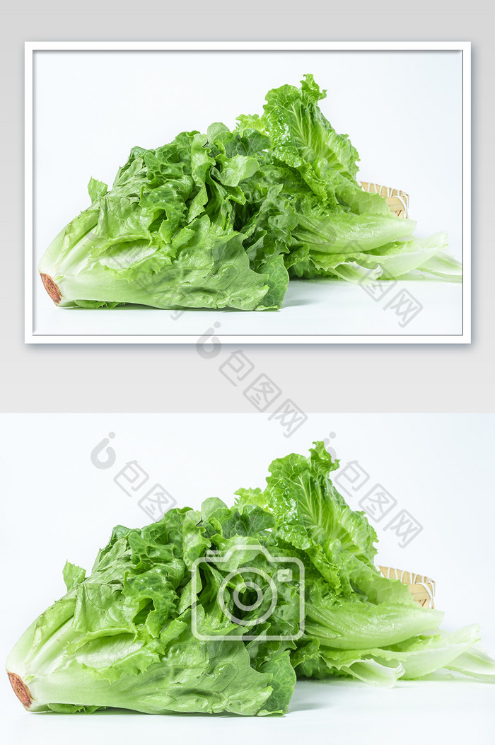 绿色有机食品生菜有机蔬菜白色背景摄影图片